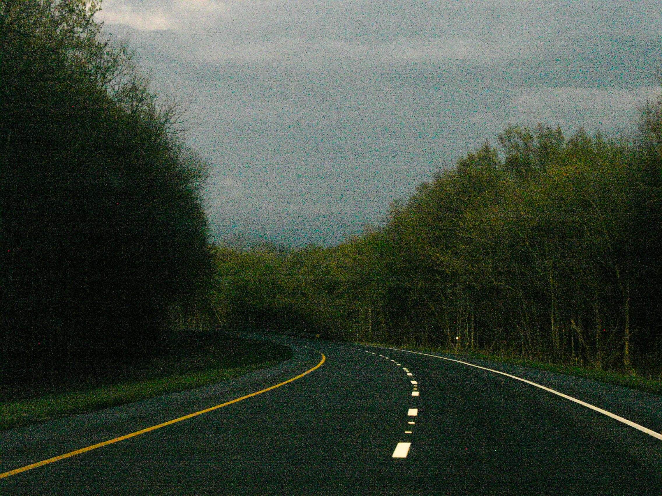 An empty two-lane highway curving into dusk, yellow center line and reflective lane dots leading away, dark treelines on both sides, the pale sky thick with grain